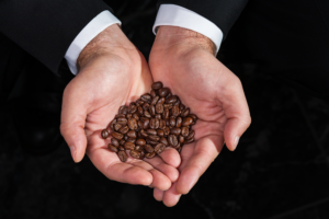 kopi luwak coffee beans roasted