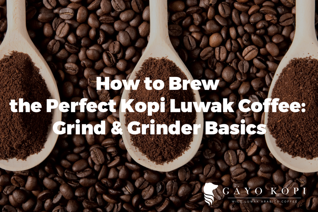 Coffee basics: why the grind of your coffee is so important