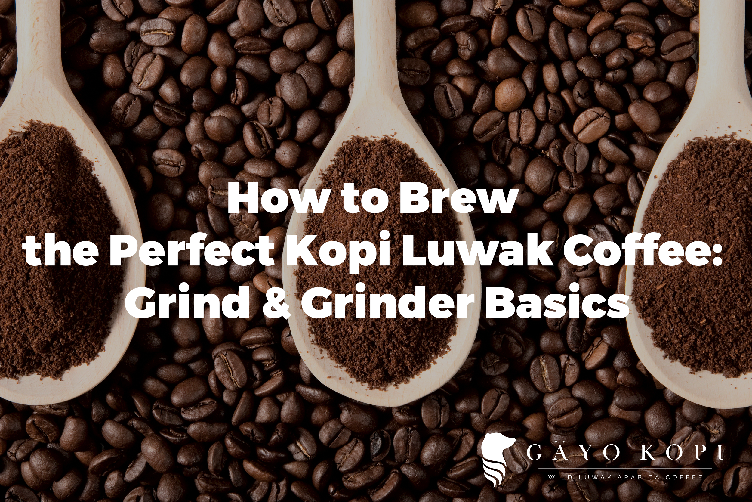 https://gayokopi.com/wp-content/uploads/2016/08/How-to-Brew-the-Perfect-Kopi-Luwak-Coffee-Grind-Grinder-Basics.png