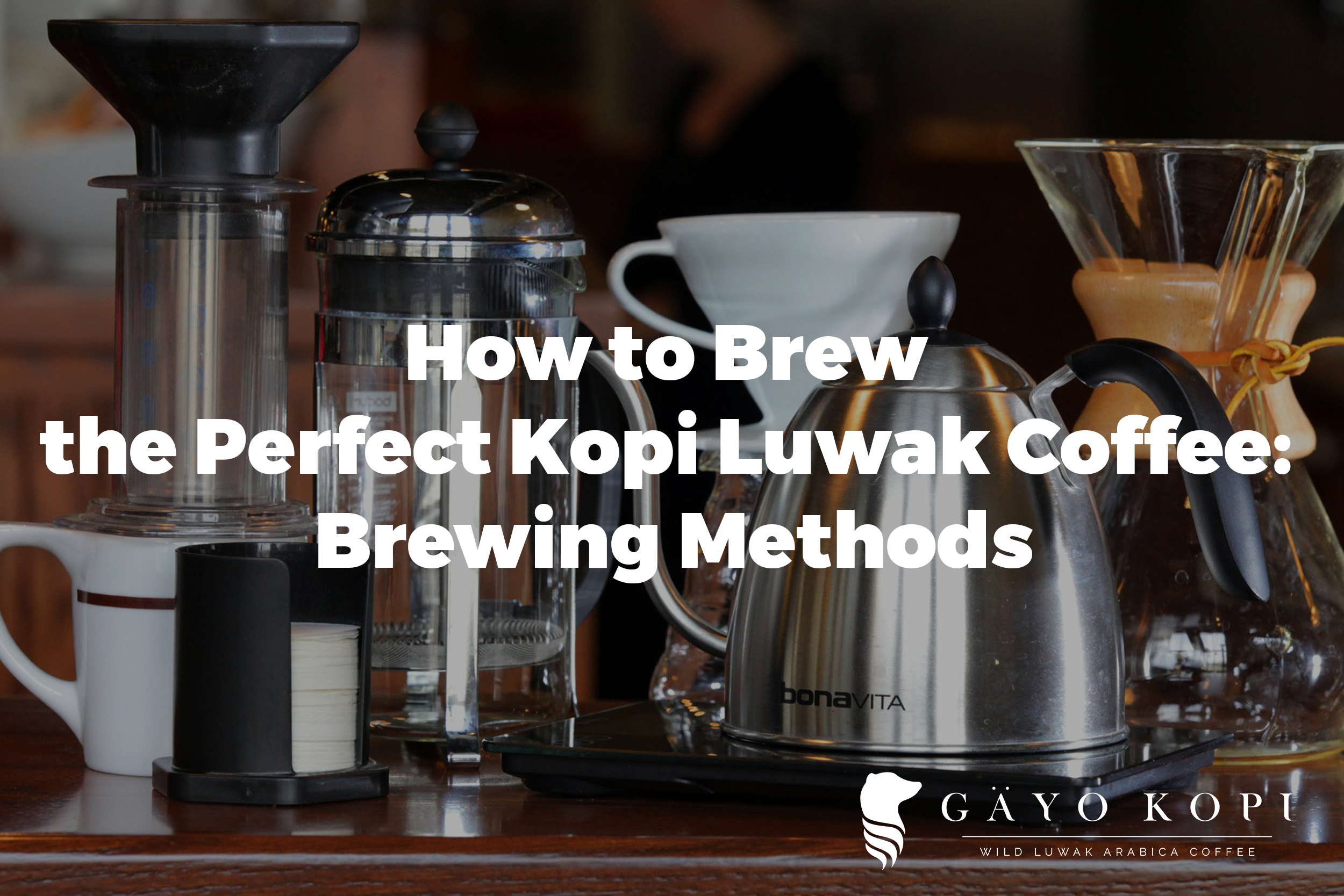https://gayokopi.com/wp-content/uploads/2016/08/kopi-luwak-brewing-methods.png